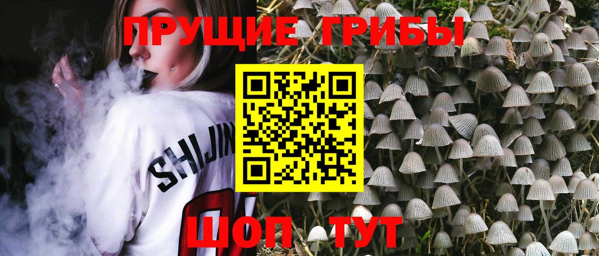 где найти наркотики  Галлюциногенные грибы Cubensis  Вход с VPN  Дубна 